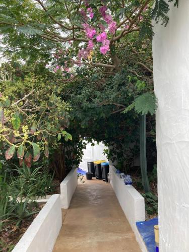 Twin Room with Shower del hotel Villa Marina Apartamentos y Habitaciones. Foto 14