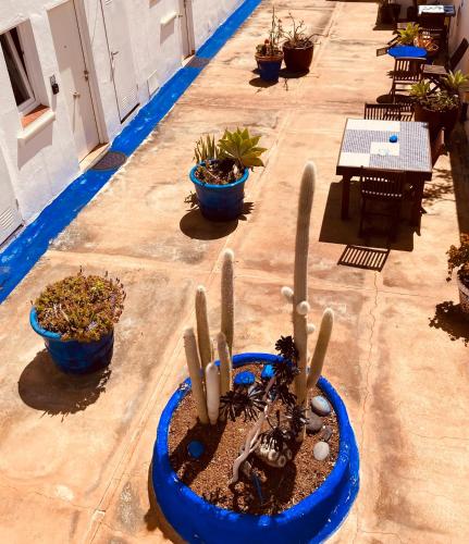 Twin Room with Shower del hotel Villa Marina Apartamentos y Habitaciones. Foto 15