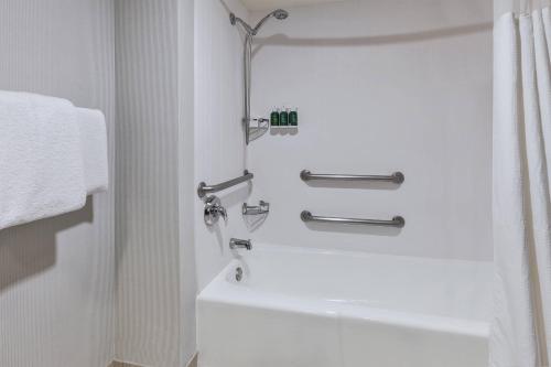 Suite con cama extragrande y sofá cama del hotel Courtyard Secaucus Meadowlands. Foto 5