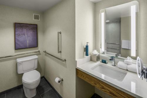 Habitación King con bañera accesible - Adaptada para movilidad reducida - No fumadores del hotel Doubletree By Hilton Rochester. Foto 3