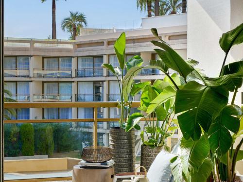 Suite Junior con cama extragrande y vistas al jardín del hotel Fairmont Monte Carlo. Foto 5