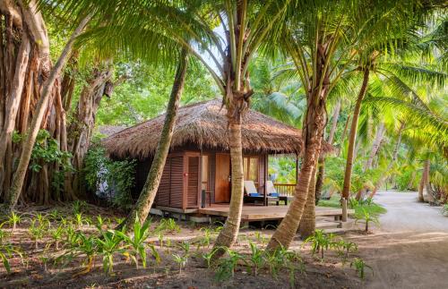 Villa Playa del hotel Niva Kuramathi Maldives. Foto 6