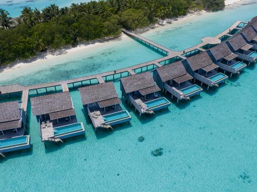 Villa Agua con piscina del hotel Niva Kuramathi Maldives. Foto 1