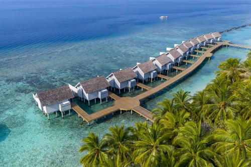 Villa Agua con piscina del hotel Niva Kuramathi Maldives. Foto 3