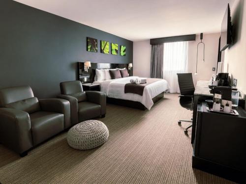 Suite Junior del hotel Laila Mexico City Reforma