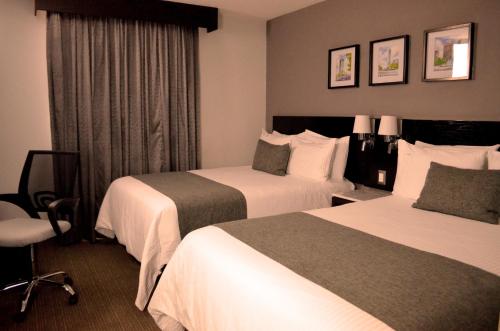 Habitación Doble Superior del hotel Laila Cdmx. Foto 14