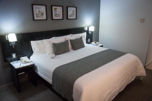 Habitación con cama grande del hotel Laila Cdmx. Foto 7