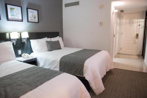 Suite Junior del hotel Laila Cdmx. Foto 1