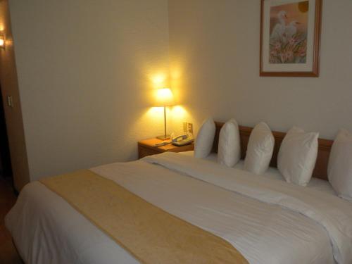 Habitación Estándar - Cama extragrande del hotel Pf. Foto 24