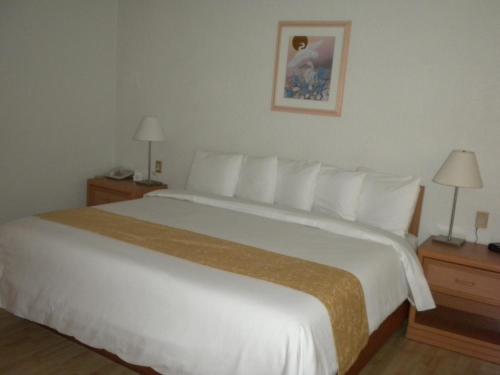 Habitación Estándar - Cama extragrande del hotel Pf. Foto 26