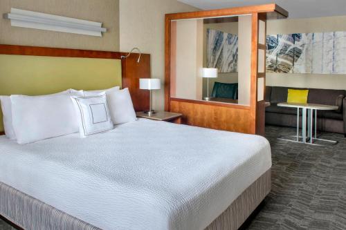 Estudio con cama extragrande y sofá cama - Adaptado para personas con discapacidad auditiva del hotel SpringHill Suites Long Island Brookhaven