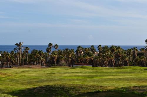 Habitación Familiar Estándar del hotel LIVVO Jandía Golf. Foto 3