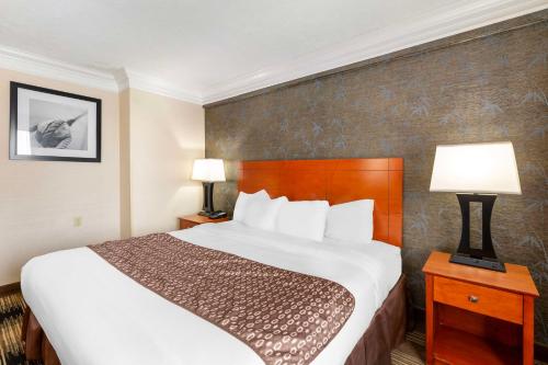 Habitación con cama extragrande y ducha a ras de suelo - Adaptada para personas de movilidad reducida/No fumadores del hotel BEST WESTERN THE INN AT ROCHESTER AIRPORT. Foto 1