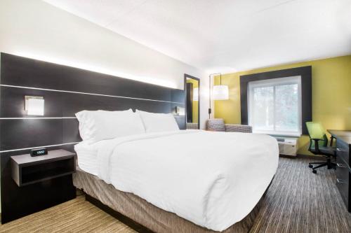 Habitación Estándar - Cama extragrande del hotel Holiday Inn Express and Suites Albany Airport Wolf Road. Foto 3