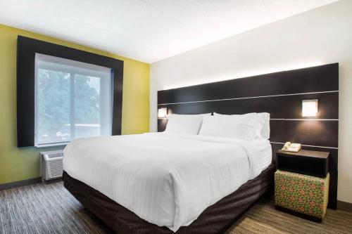 Suite con cama extragrande del hotel Holiday Inn Express and Suites Albany Airport Wolf Road. Foto 1
