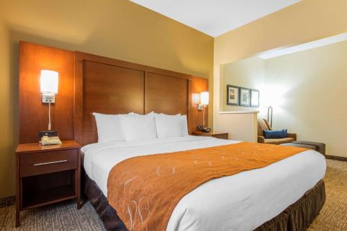 Suite con cama extragrande y ducha a ras de suelo - Adaptada para personas de movilidad reducida - No fumadores del hotel Comfort Suites Rochester Henrietta University Area. Foto 1