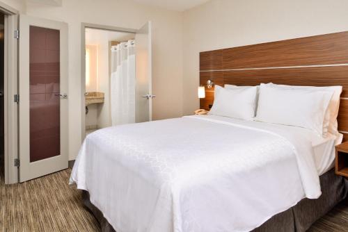 Suite de 1 dormitorio - 1 cama extragrande del hotel Holiday Inn Express & Suites Buffalo Downtown - Medical CTR. Foto 2