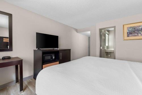 Habitación - No fumadores - Cama grande del hotel DAYS INN ALBANY SUNY. Foto 2