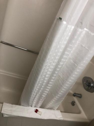 Habitación adaptada para personas de movilidad reducida - No fumadores - Cama extragrande del hotel Baymont by Wyndham Latham Albany Airport. Foto 4