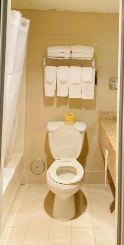 Suite Deluxe con cama extragrande para no fumadores del hotel Baymont by Wyndham Latham Albany Airport. Foto 4