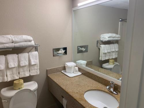 Suite Deluxe con cama extragrande para no fumadores del hotel Baymont by Wyndham Latham Albany Airport. Foto 5