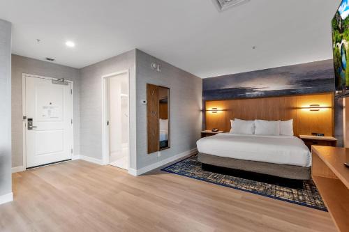 Estudio - No fumadores - 1 cama extragrande del hotel EMBASSY SUITES BUFFALO. Foto 8