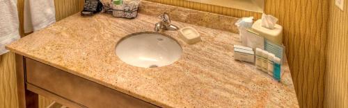 Habitación adaptada para personas con movilidad reducida, con bañera - No fumadores - Cama extragrande del hotel HAMPTON INN and SUITES ROCHESTER/HENRIETTA