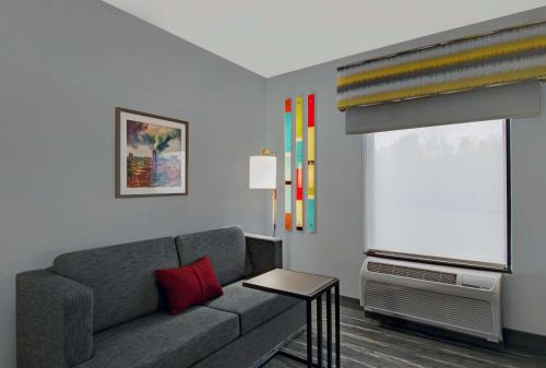 Suite Estudio King con sofá cama - Acceso auditivo - No fumadores del hotel Hampton Inn & Suites Syracuse Dewitt. Foto 2