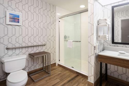 Habitación adaptada para personas de movilidad reducida - No fumadores - Cama extragrande del hotel HAMPTON INN BUFFALO-SOUTH-I-90. Foto 6