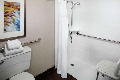 Habitación adaptada para personas de movilidad reducida con ducha a ras de suelo - 1 cama extragrande del hotel Hilton Albany