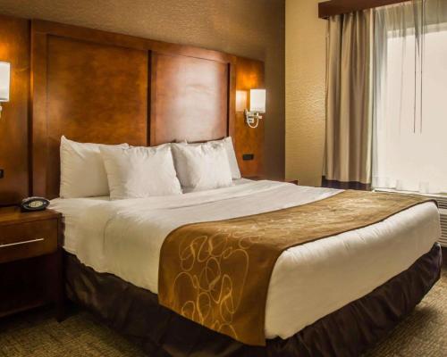 Suite Executive - Cama extragrande del hotel Quality Suites Nyc Gateway