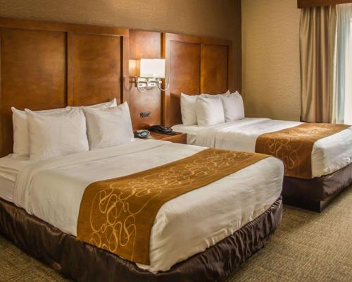 Suite Efficiency con zona de cocina - 1 cama grande del hotel Quality Suites Nyc Gateway. Foto 2