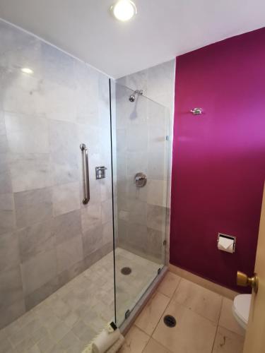 Estudio - Sección de montaña del hotel Canto Del Sol Puerto Vallarta All Inclusive