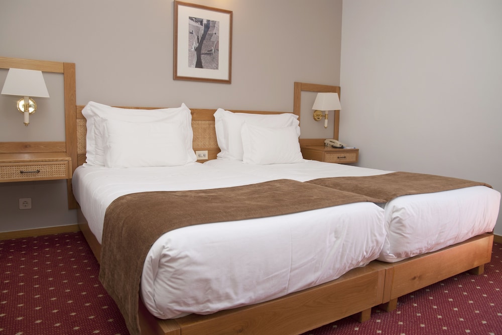 Habitación con 1 cama doble o 2 individuales del hotel Rainha D. Amelia, Arts and Leisure. Foto 2