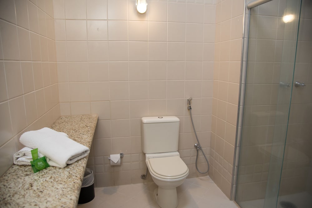 Apartamento ejecutivo, 3 camas individuales del hotel Ibis Styles Rio Preto Monte Líbano. Foto 9