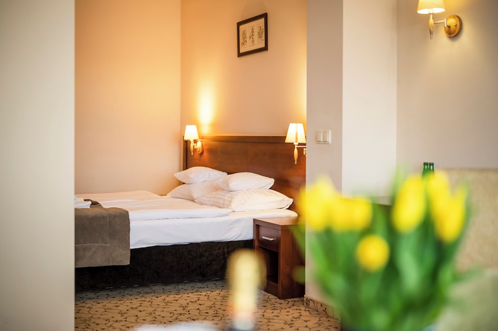Confort – Un espacio para relajarse del hotel Hotel Mercure Raclawice Doslonce Conference & SPA