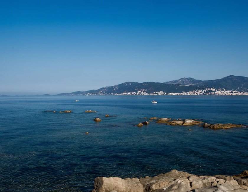 Habitación doble Vista Mar Balcón o Terraza Superior 1 Cama king Con Vistas del hotel Sofitel Golfe Ajaccio Thalassa Sea and Spa. Foto 3