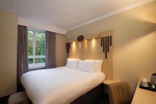 Habitación Estándar con cama extragrande y vistas al parque del hotel Tavistock