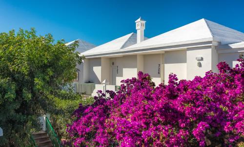 Junior suite Vista Piscina Vista Jardin 2 Camas individuales del hotel H10 Ocean Suites. Foto 6