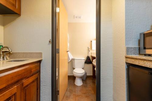 Suite con cama extragrande del hotel Grand Canyon & Suites. Foto 6