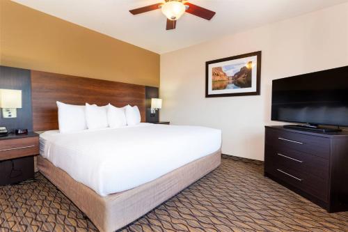 Habitación con 1 dormitorio, cama extragrande y ducha accesible en silla de ruedas - Adaptada para personas con discapacidad auditiva - No fumadores del hotel Grand Canyon & Suites. Foto 4