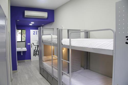 Habitación privada - 4 camas del hotel Bcnsporthostels. Foto 1