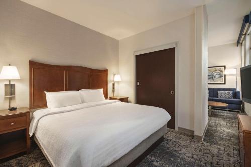 Suite Estudio Executive con cama extragrande del hotel Hampton Inn Manhattan/Downtown-Financial District. Foto 2