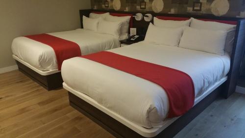 Habitación Doble Estándar del hotel NobleDEN. Foto 4