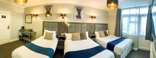 Habitación Familiar del hotel Comfotel Blu