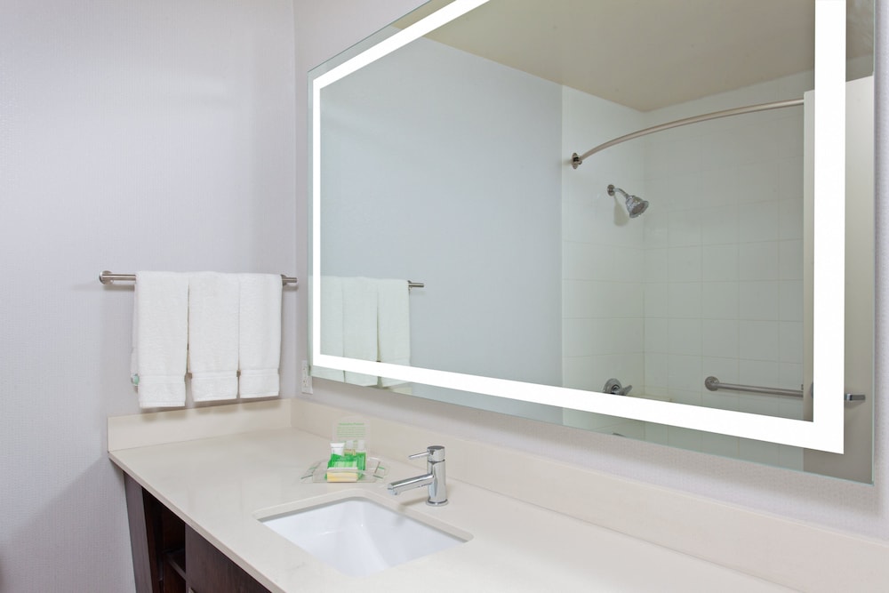 Habitación Premium del hotel Holiday Inn Los Angeles - Lax Airport, An Ihg. Foto 7