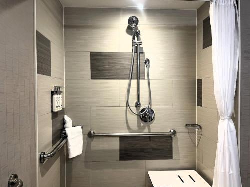 Habitación Estándar con cama grande y ducha a ras de suelo accesible para comunicaciones del hotel Holiday Inn New York City - Times Square, An Ihg. Foto 3