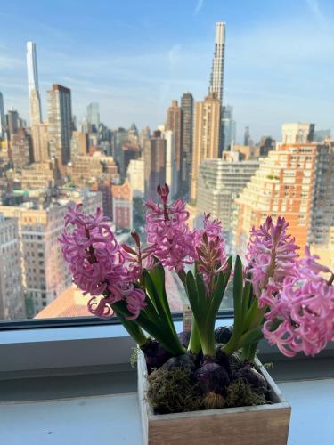 Estudio Executive - 1 cama extragrande del hotel Beacon. Foto 4