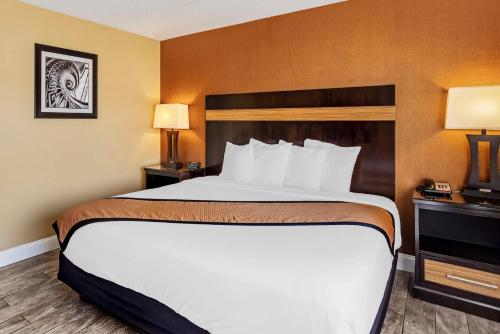 Habitación con ducha a ras de suelo, adaptada para personas de movilidad reducida - 1 cama extragrande - No fumadores del hotel Best Western Plus Newark Airport West