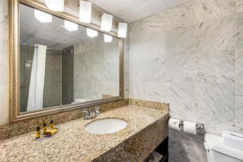 Habitación - No fumadores - Cama grande del hotel Best Western Plus Newark Airport West. Foto 5